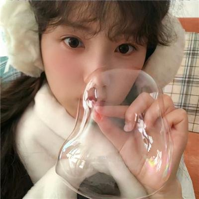 寻狗启事